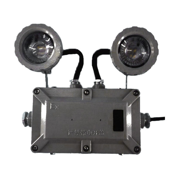 利达LD-ZFJC-E6W-B4200Ex集中电源集中控制型消防应急照明灯具